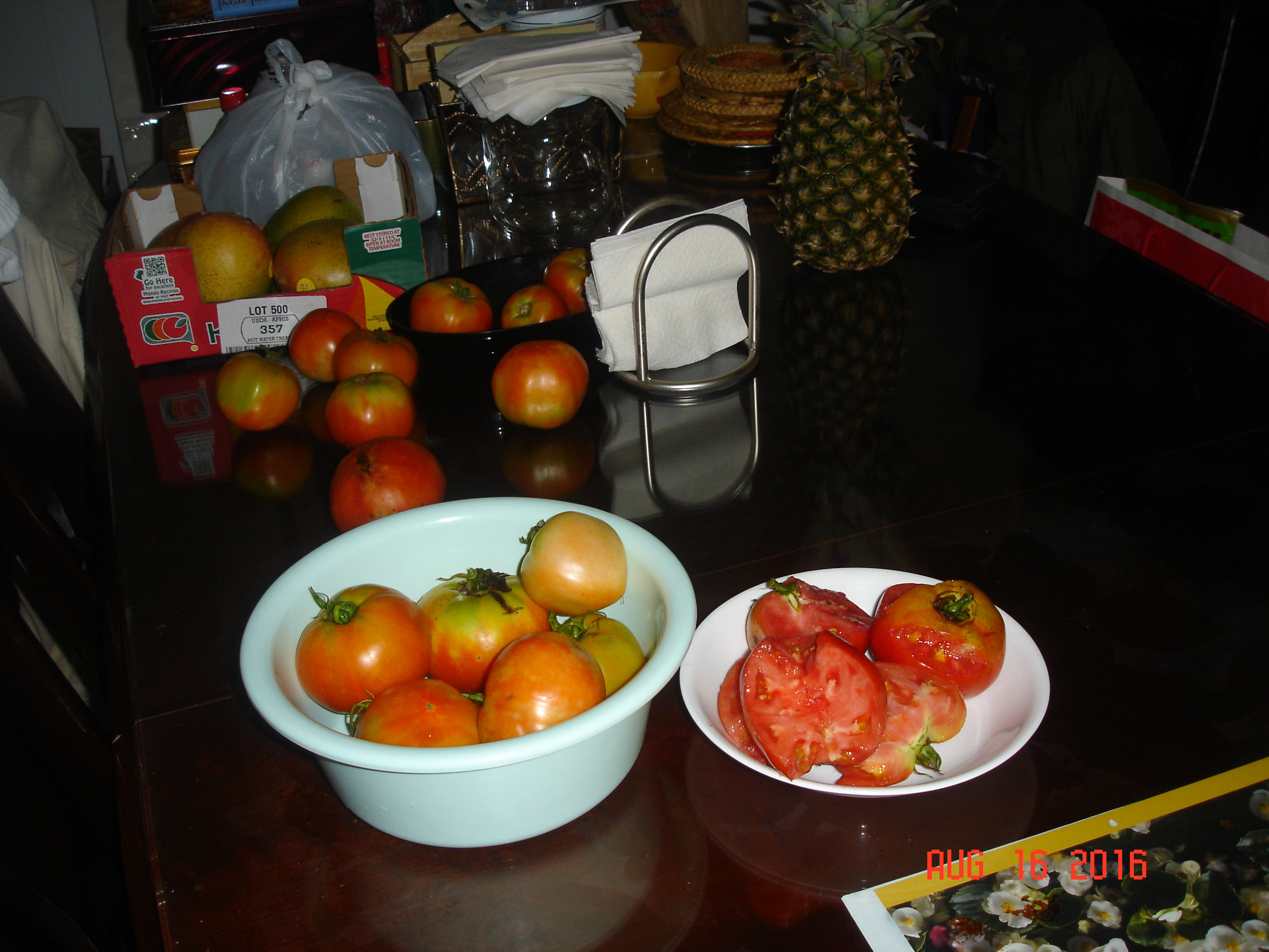 DSC09511.JPG
